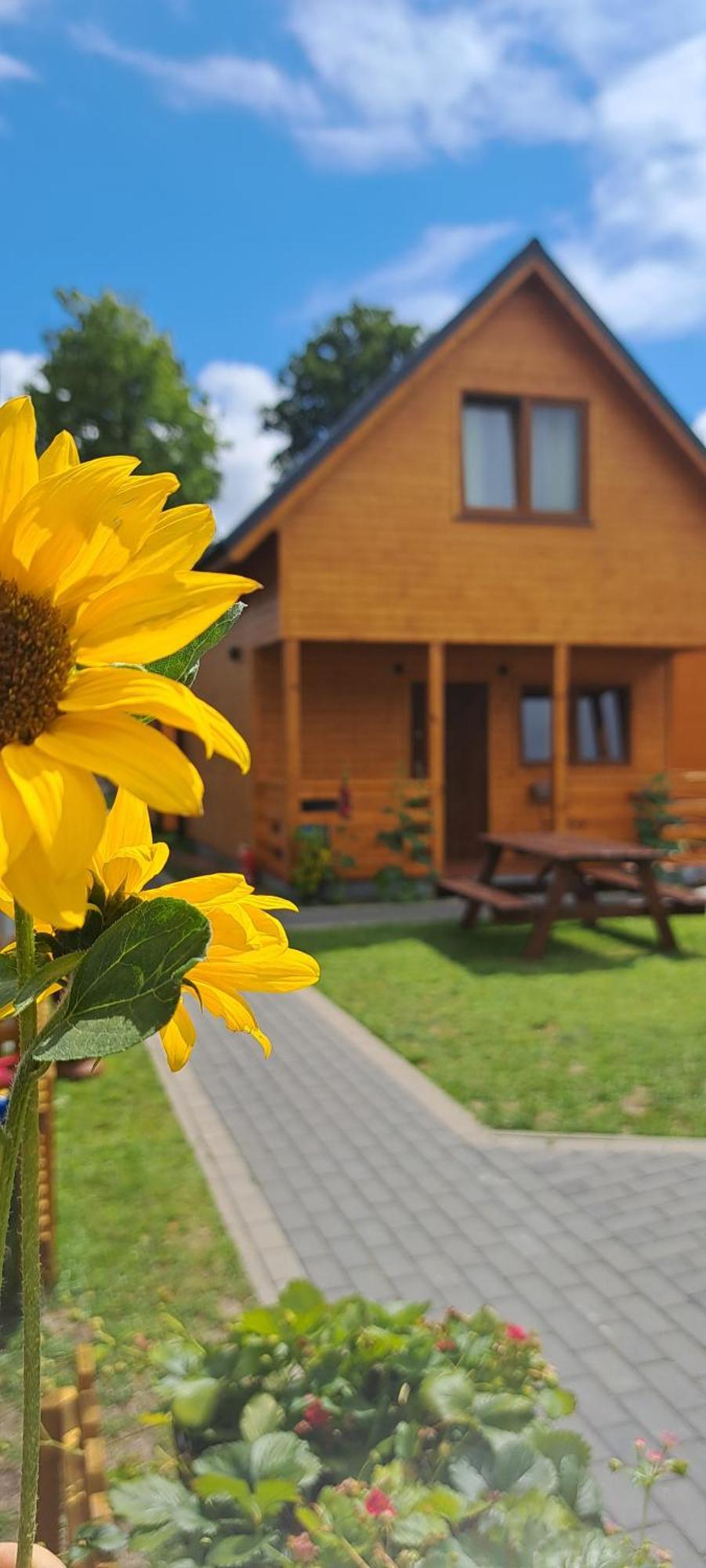 Sloneczne Domki Pustkowo, 1 Minuta Do Plazy, Exteriér fotografie